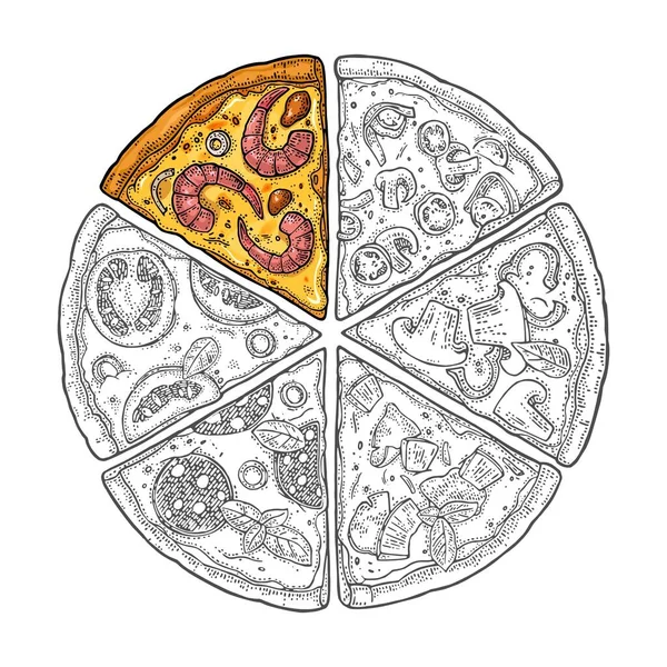 Fyrkantig Affisch Med Monokrom Och Färg Skiva Pizza Pepperoni Hawaiian — Stock vektor