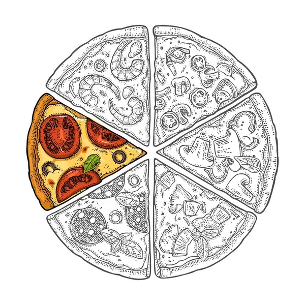 Négyzet Poszter Monokróm Színes Szelet Pizza Pepperoni Hawaii Margherita Mexikói — Stock Vector