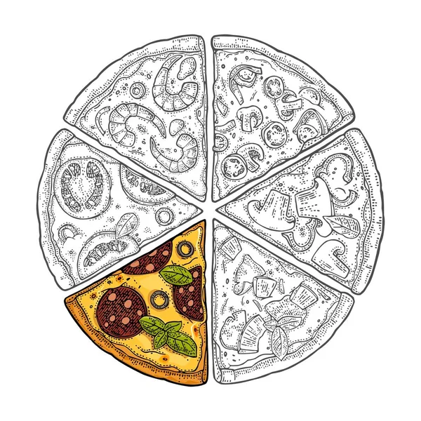 Fyrkantig Affisch Med Monokrom Och Färg Skiva Pizza Pepperoni Hawaiian — Stock vektor