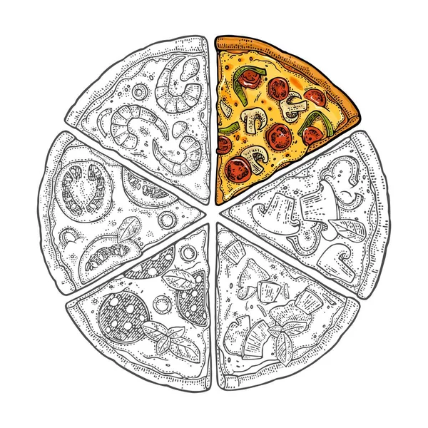 Square Poster Monochrome Color Slice Pizza Pepperoni Hawaiian Margherita Mexican — Stock Vector