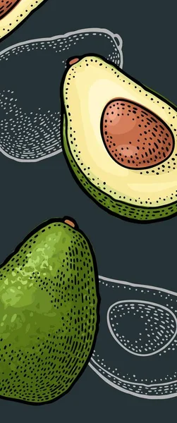 Avocado Ganz Und Halb Vektorfarbe Und Einfarbige Vintage Gravur Isoliert — Stockvektor