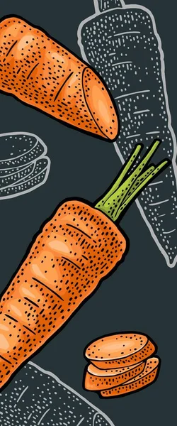 Zanahorias Enteras Mitad Rebanadas Color Vectorial Grabado Vintage Monocromo Aislado — Vector de stock
