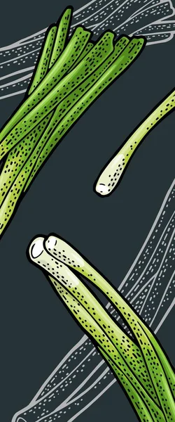 新鮮な茎のタマネギの束 暗い背景に隔離されたベクトルカラーとモノクロームのヴィンテージ彫刻 縦型テンプレートメニュー ポスター チラシ バナーの手描きデザイン要素 — ストックベクタ