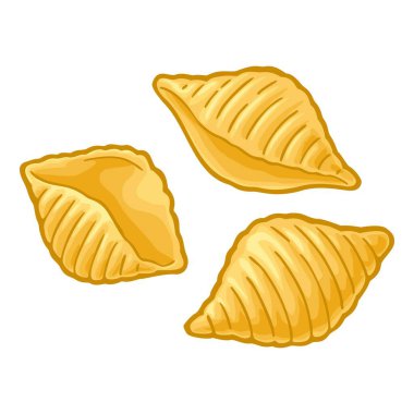 Pasta conchiglie. Beyaz arkaplanda vektör rengi çizimi izole edildi. El çizimi tasarım ögesi