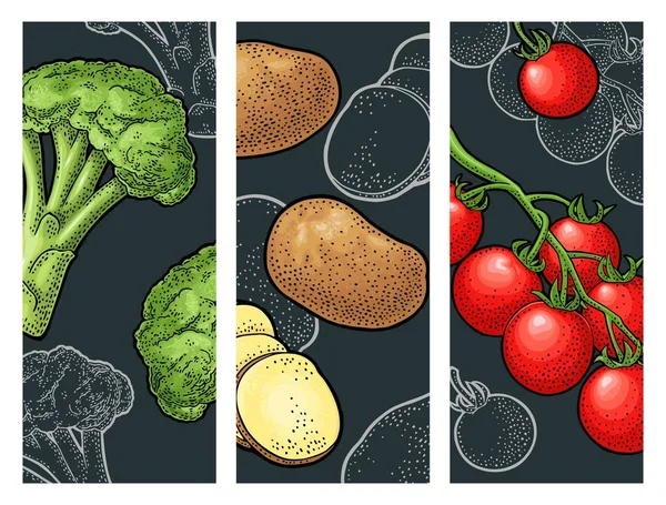 Brokuły Ziemniaki Pomidory Kolor Wektorowy Monochromatyczne Vintage Grawerowanie Izolowane Ciemnym — Wektor stockowy