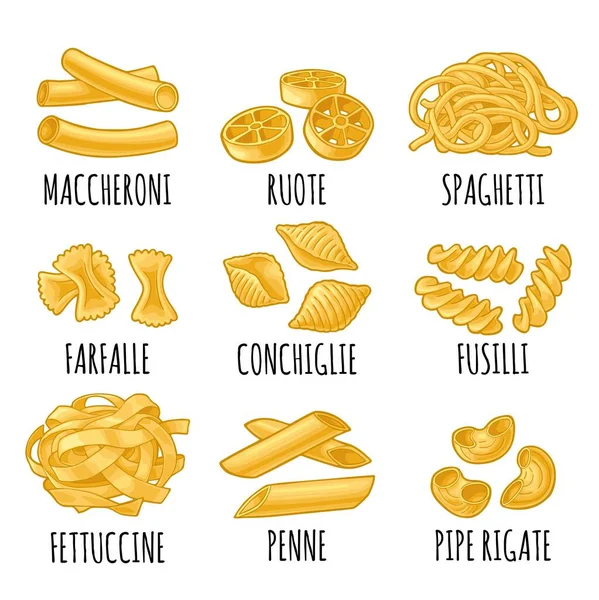 Set Avec Différents Types Pâtes Farfalle Conchiglie Maccheroni Fusilli Penne — Image vectorielle