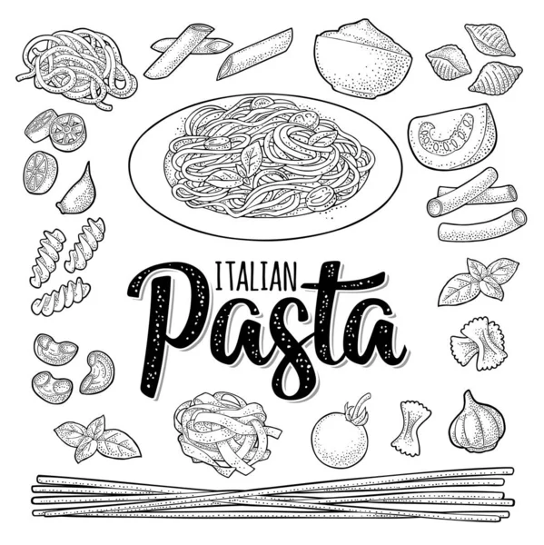 Diferentes Tipos Macarrones Espaguetis Plato Grabado Color Vintage Vectorial Aislado — Archivo Imágenes Vectoriales