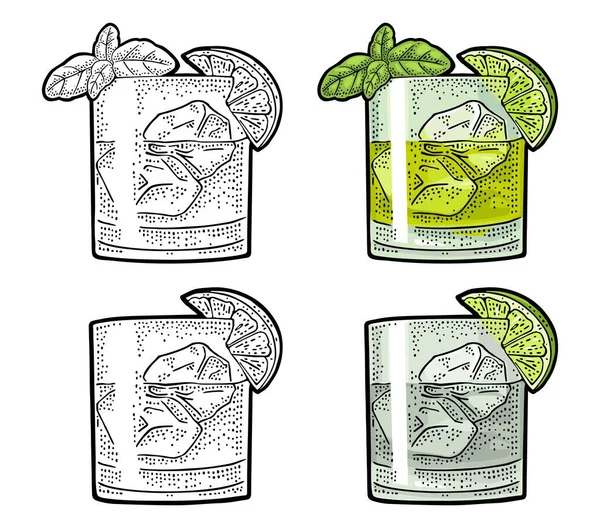 Gin Cóctel Con Albahaca Lima Ilustración Grabado Vectorial Color Vintage — Vector de stock