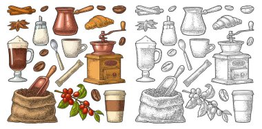 Kahve hazırla. Fasulye, odun kepçesi, çuval, el değirmeni, şeker, yaprak ve böğürtlenli dal, kaşık, kremalı cam latte. Vintage renk vektörü oyması beyaz üzerine izole edildi