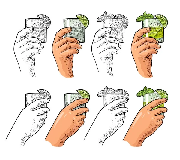 Manos sosteniendo ginebra cóctel de vidrio con albahaca y lima. Grabado vectorial Vintage — Archivo Imágenes Vectoriales