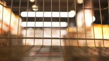 Dükkanda alışveriş arabası