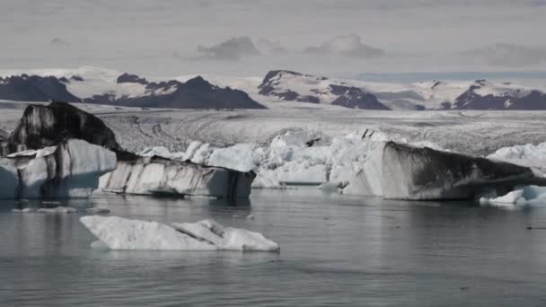 Geleiras de gelo flutuantes da Antártida icebergs — Vídeo de Stock