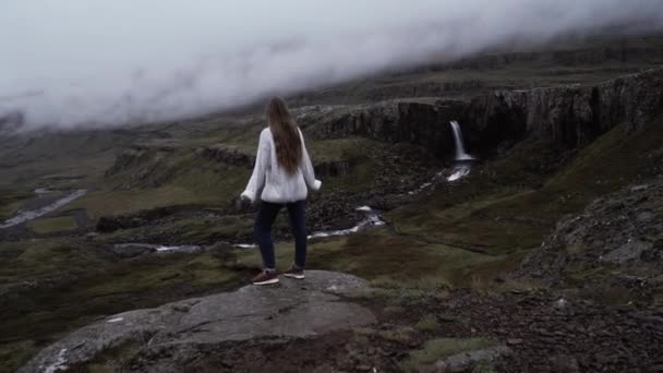 Achteraanzicht van jonge peinzende vrouw op zoek op krachtige waterval in IJsland. — Stockvideo