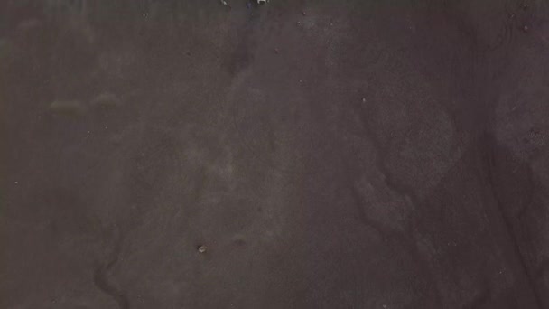 Robot atış: İzlanda, kum üzerinde döşeme Dc3 Donanma uçak siyah kum Plajı üzerinde uçak düştü. havadan görünümü — Stok video