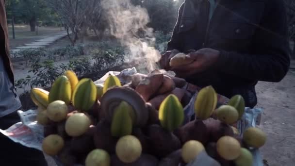 Streetfood gegrillter Süßkartoffelkuchen und gegrillter Mais in Delhi Indien — Stockvideo