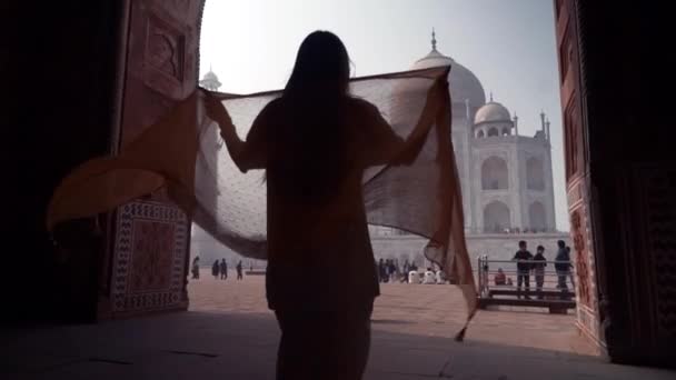 Mulher indiana em Sari tradicional na frente de Taj Mahal, Agra, Uttar Pradesh, Índia — Vídeo de Stock