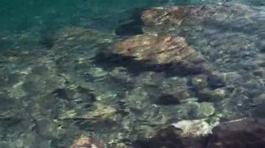 Akşam Taşlı bir kumsalda closeup