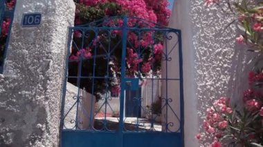 Yunanistan 'ın Paros adasında çiçekli geleneksel Yunan evi