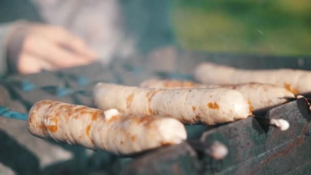 Saucisses grillées sur le gril avec de la fumée et de la flamme sur une prairie. Pique-nique barbecue — Video