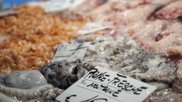 Különböző típusú tenger gyümölcsei a helyi halpiac, Olaszország — Stock videók
