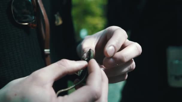 Close-up van de man spelen met zijn kleine hagedis vriend in zijn hand-mensen en dierlijke relatie concept — Stockvideo