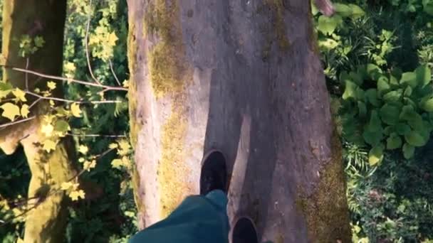 Turista cruza el río de montaña a lo largo de un árbol caído. vista en primera persona. Aventuras y turismo extremo . — Vídeo de stock