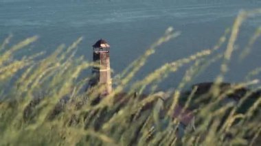 Bir deniz feneri arka planda görünür gibi uzun ot rüzgarda eser