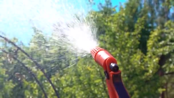 Mans mano tenendo spruzzatore d'acqua durante il giardinaggio, spruzzatura d'acqua da spruzzatore sull'erba — Video Stock