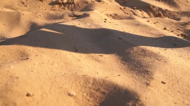 Primer plano de los pies femeninos se hunden en la arena. Camina descalzo por el desierto. La mujer camina junto a la cámara, los pies se hunden en la arena. Arena caliente. Caminar por el desierto — Vídeos de Stock