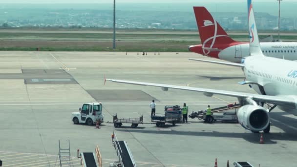 Mosca, Russia-24 marzo 2019: Il personale dell'aeroporto carica i bagagli all'interno di un aereo. Bagaglio su nastro trasportatore aereo. Organizzazione operaia dei bagagli dei passeggeri presso il terminal di partenza . — Video Stock