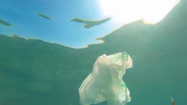 Zanieczyszczenie tworzyw sztucznych problemem środowiskowym oceanu. Plastikowe torby, Sławki i butelki wyrzucane w morzu — Wideo stockowe