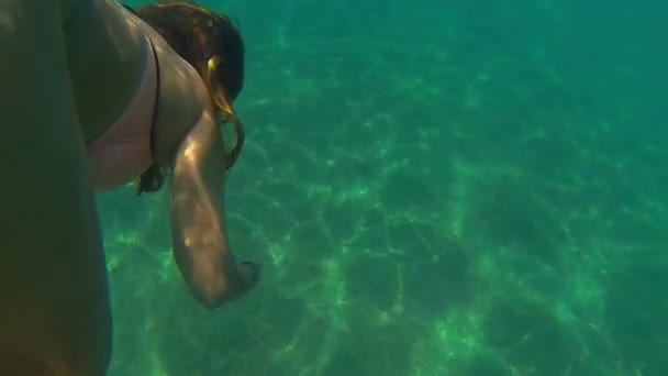 Giovane attraente ragazza bikini nuotare sott'acqua, isola di Corfù, Grecia — Video Stock