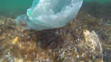 Plastik kirliliği - yosun ile deniz tabanı üzerinde sürüklenen atılmış bir plastik torba. Sualtı çekimi, Karadeniz
