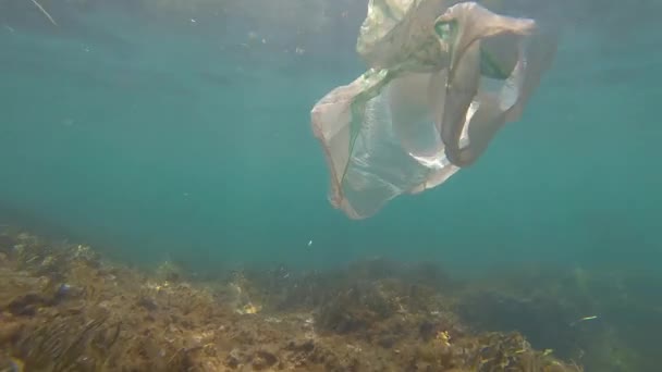 Plastic pollution - a discarded plastic bag drifting over seabed with algae. Underwater shot, Black Sea — Stock Video