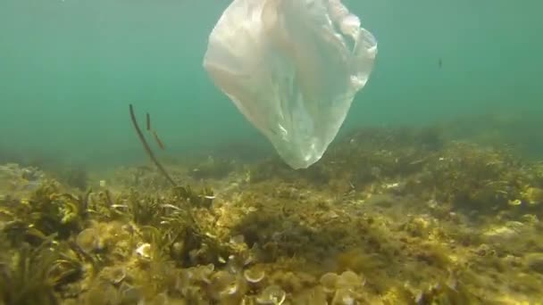 Contaminación plástica: una bolsa de plástico desechada a la deriva sobre el fondo marino con algas. Submarino, Mar Negro — Vídeos de Stock