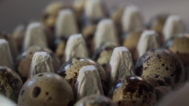 Quail eggs in cardboard packaging. — Stock Video