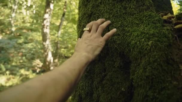 Le motif et la texture de la mousse de forêt verte sont aussi denses qu'un tapis biologique. Mans main touche une peluche douce pile. Auto-massage des paumes. Développement de la sensibilité et de l'amour pour les plantes naturelles — Video