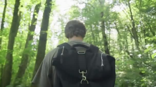Hombre joven caminando a través de árboles altos en un bosque nublado de otoño. Caminata masculina con mochila trekking bosque de pinos, caminar en la niebla descubrir bosques y disfruta de la naturaleza. cámara lenta seguir gran ángulo de tiro — Vídeos de Stock