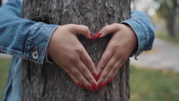 Mani femminili che fanno una forma di cuore su un tronco di un albero. Grande concetto di ecologia — Video Stock