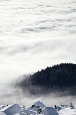 Güneşin doğuşunda sessiz bir dağ manzarasında ormanın üzerinde süzülen karla kaplı görkemli bir manzara. Karpat Dağları, Ukrayna 'da kış turistik gezileri