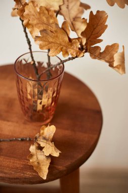 Kurumuş meşe dalları, minimalist bir iç mekanda, ahşap bir taburede zarif bir şekilde yerleştirilmiş bir bardakta.