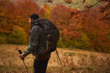 Sonbahar ormanlarında canlı yapraklar ve sırt çantasıyla yürüyüş yapan bir adam. Karpat Dağları, Ukrayna 'da sonbahar yürüyüşü