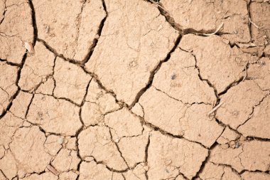 doku dünya. küçük ve kaba kesir. kuraklık.