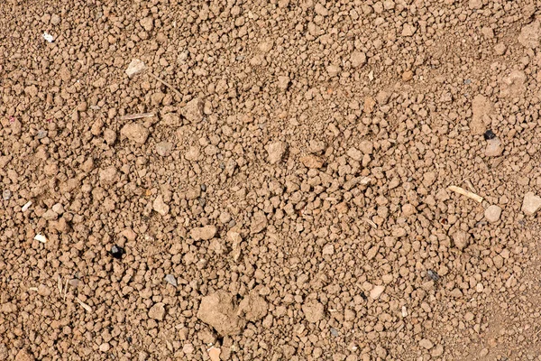 Texture of the earth. small and coarse fraction. drought. — Stock Photo, Image