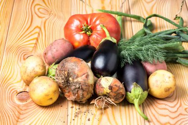 Farklı taze çiğ renkli sebze yakın açık renkli ahşap tepsi kümesi