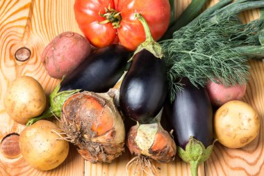 Farklı taze çiğ renkli sebze yakın açık renkli ahşap tepsi kümesi