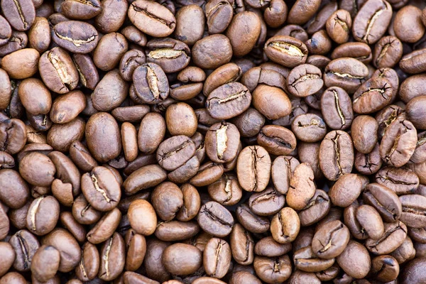 Coffee grains in the bottom of the image on a gently light background — Stock Photo, Image