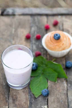 Taze meyveleri ve kekler ile Doğal yoğurt. kopya alanı.