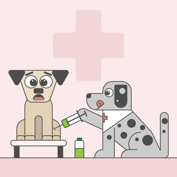 Bir köpek korkmuş-in Hayvan Veteriner hastanede enjeksiyon. Doktor hastasına aşılamak için şırınga kullanın