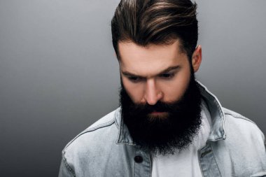Aşağı bakıyor trendy denim ceket kalın sakallı yakışıklı şık genç beyaz erkek modeli studio atış yakın kırpılmış. Kuaför adam gri studio duvara poz.